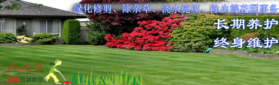 ҵС